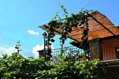 bed-and-breakfast-genazzano-la-taverna-2