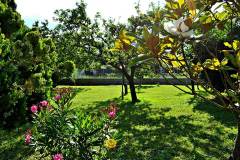 bed-and-breakfast-genazzano-la-taverna-4